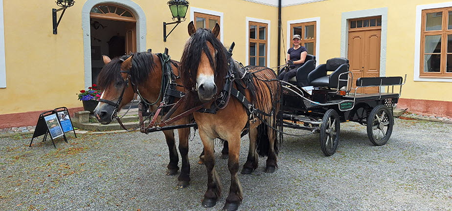 Hästar med vagn framför Edsbergs slott.