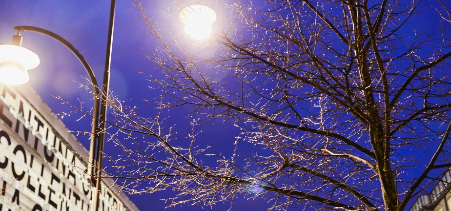 Sollentuna centrum, lampor lyser upp ett träd