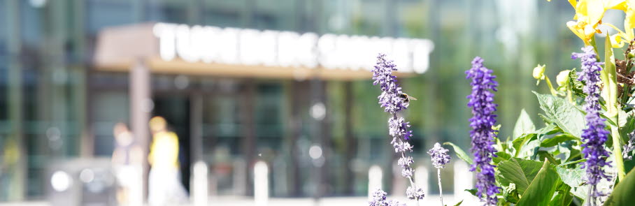 Turebergshusets entré, blommor i förgrunden