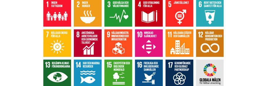 17 mål för Agenda 2030