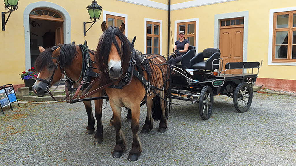 Hästar med vagn framför Edsbergs slott.