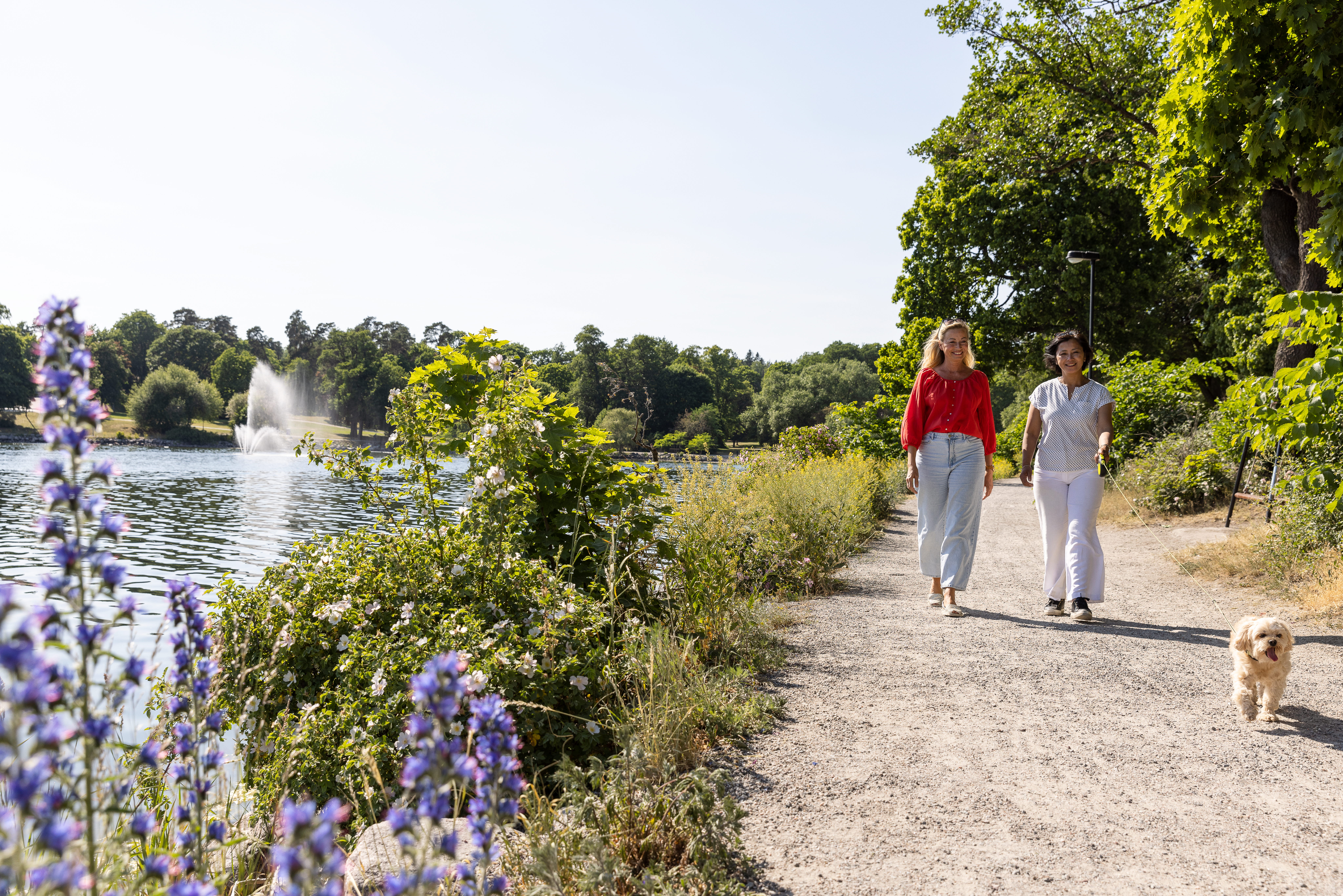Två kvinnor går på promenad längs vattnet i Edsvik i ett sommarvarmt juni