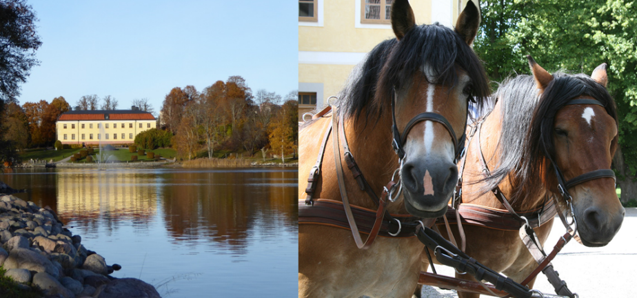 Hästar vid Edsbergs slott, Edsvik